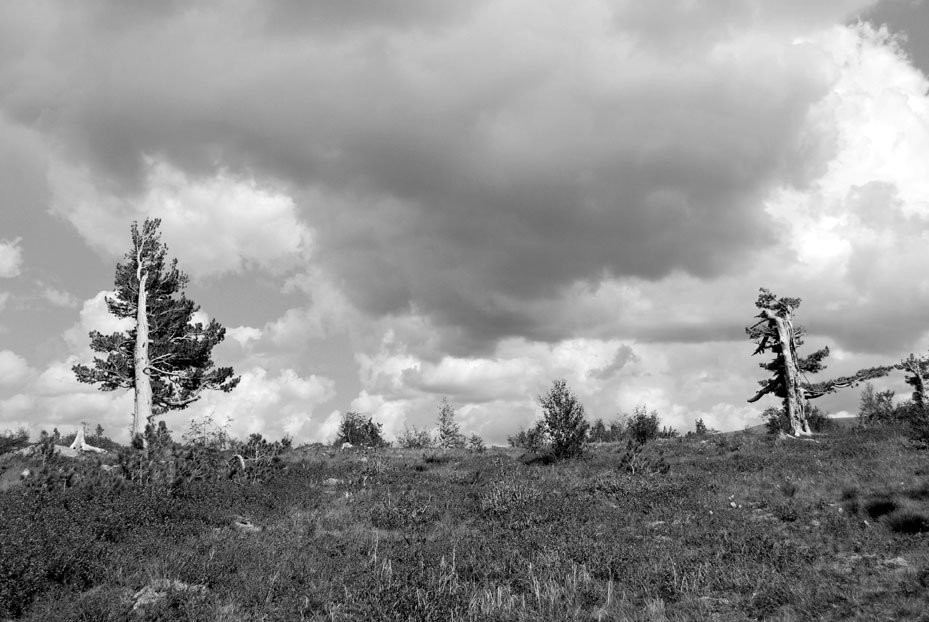 Национальный парк, Россия. Фото 3 – фотографии России