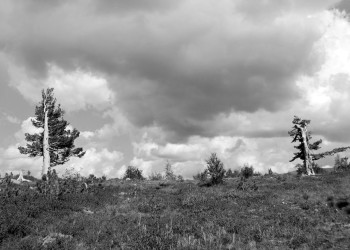 Национальный парк, Россия. Фото 3 – фотографии России