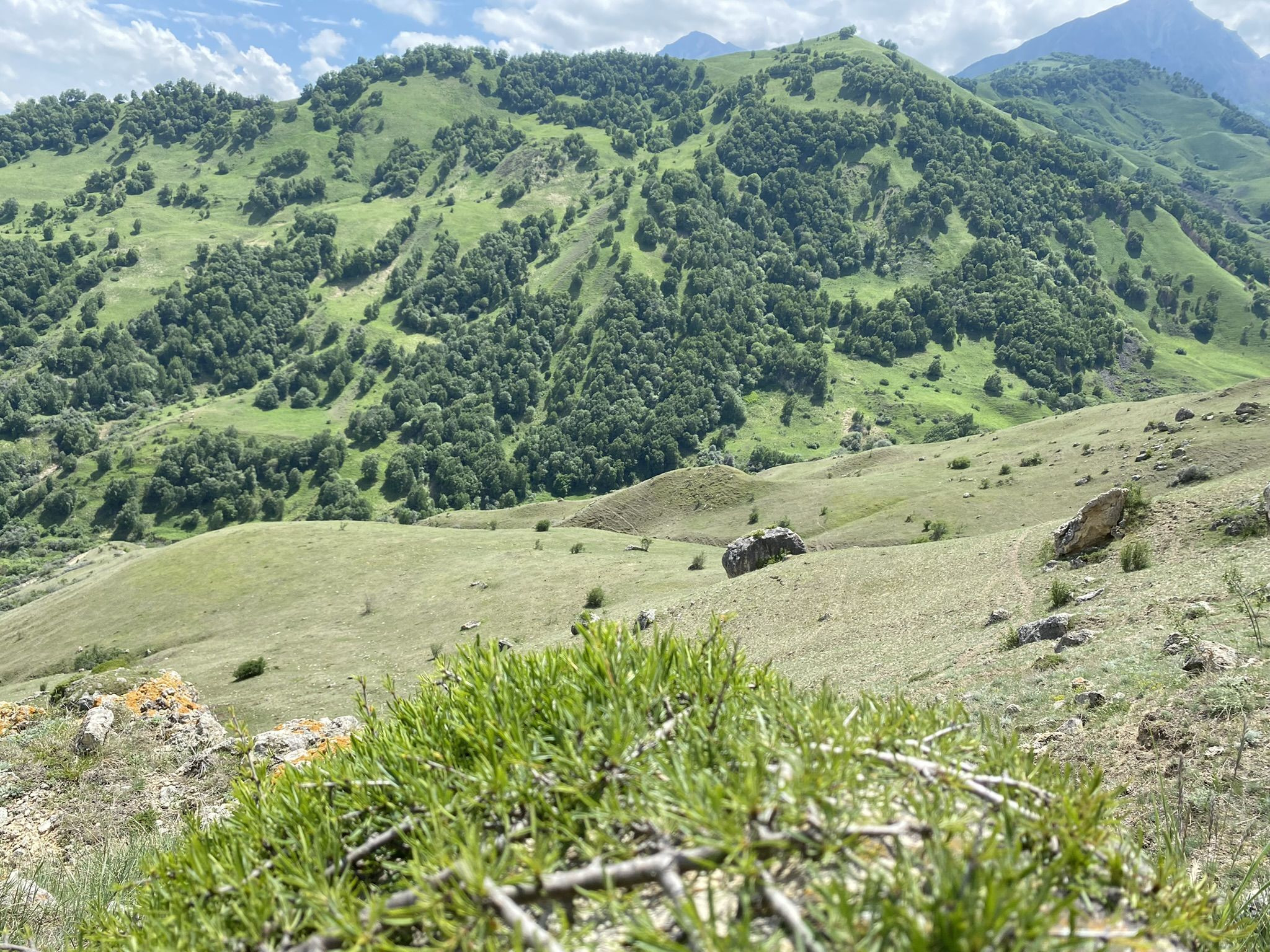 Пейзажи перевала Актопрак, Кабардино-Балкария – фотографии России