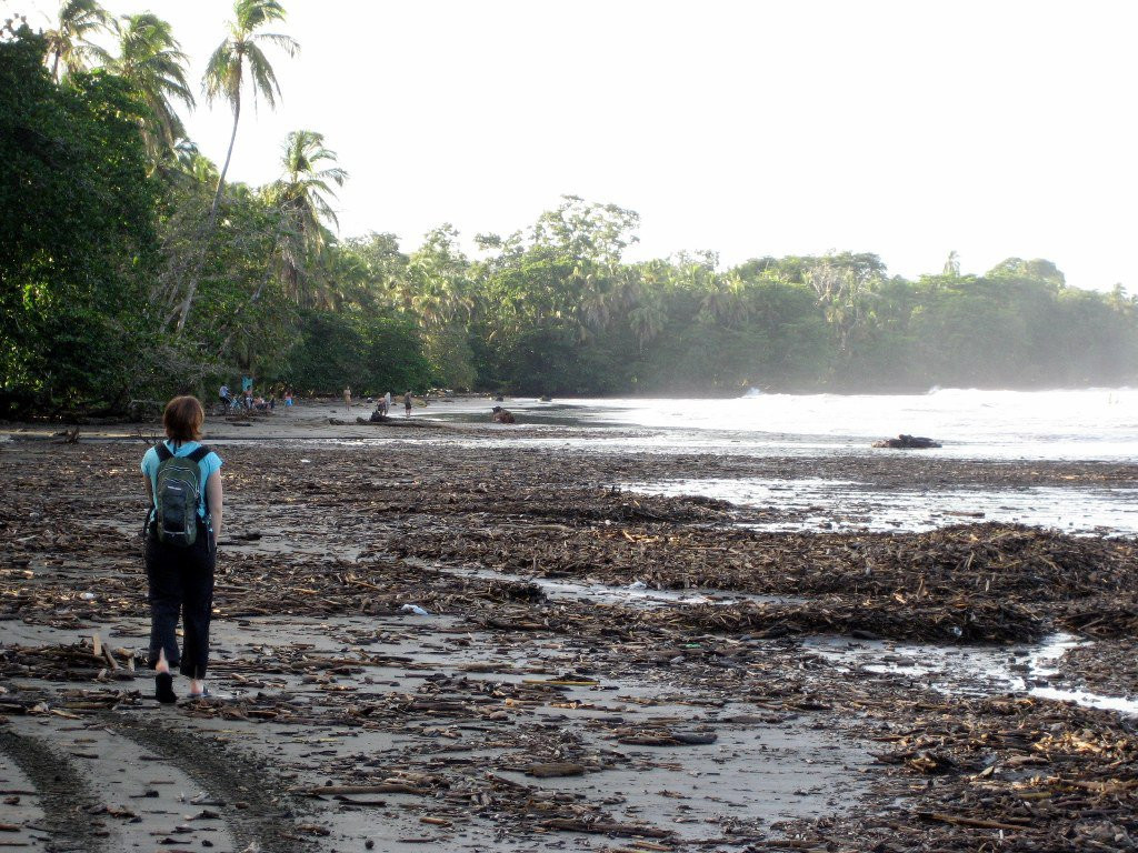 Кауита Национальный Парк, Лимон провинция, Коста-Рика, фото № 40088 – фотографии Коста-Рики