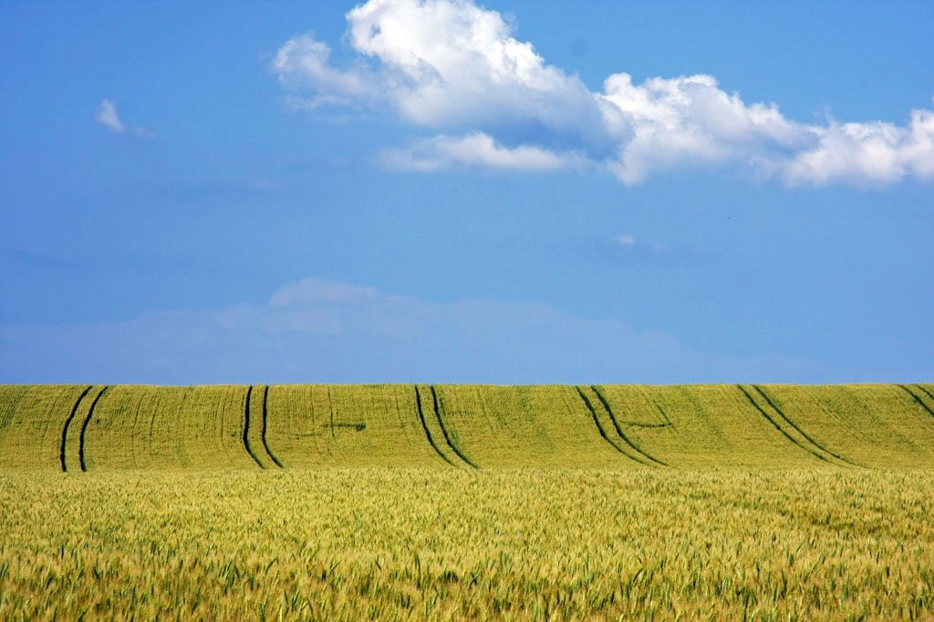 Поля Венгрии – фотографии Венгрии