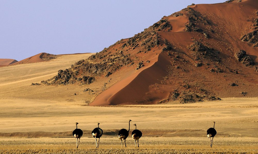 Соссусфлей, Намибия, фото № 80071 – фотографии Намибии