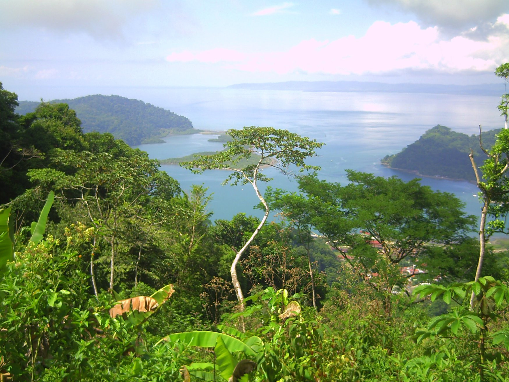 Гольфито, Пунтаренас провинция, Коста-Рика, фото № 40393 – фотографии Коста-Рики