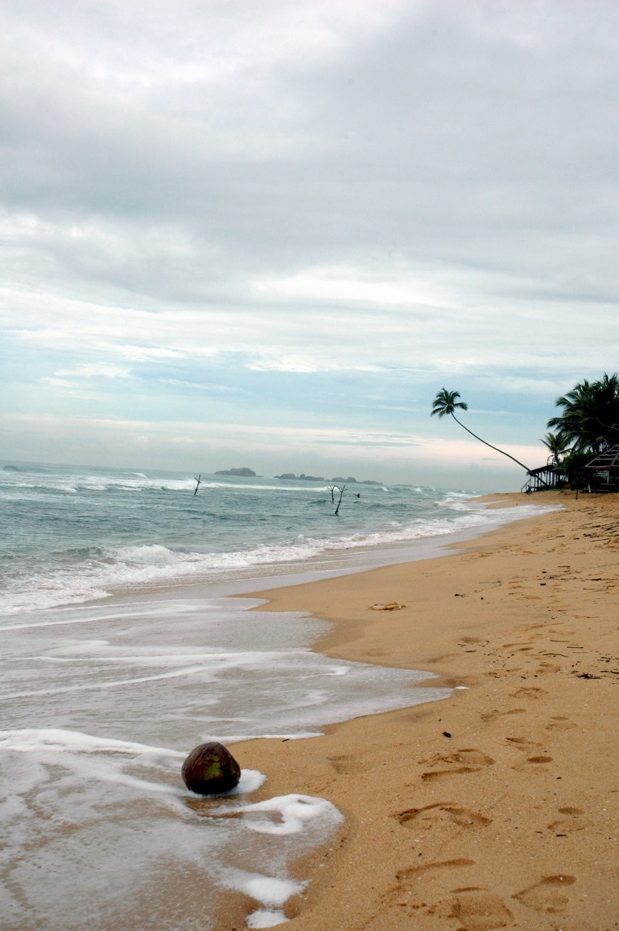 Хиккадува, Шри-Ланка, фото № 52547 – фотографии Шри-Ланки