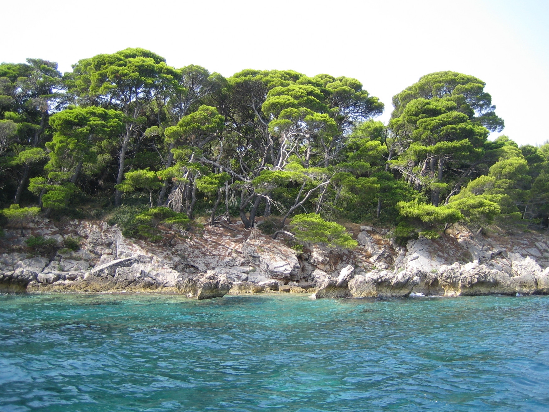 Берега на острове Колочеп, Хорватия. Фото 13 – фотографии Хорватии