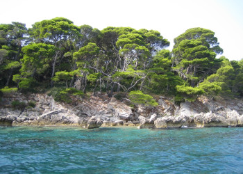 Берега на острове Колочеп, Хорватия. Фото 13 – фотографии Хорватии