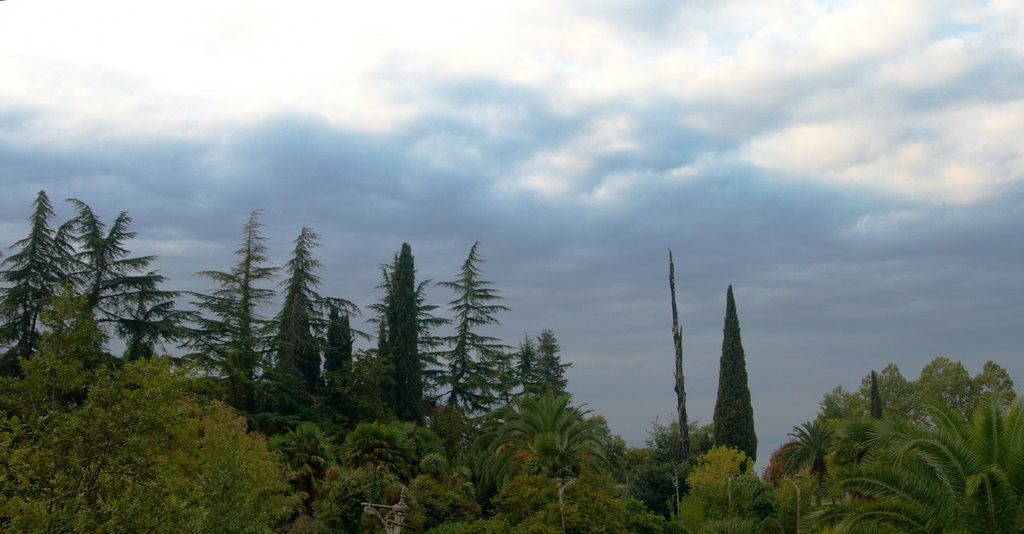 Гагра, Абхазия. Фото 4 – фотографии Абхазии