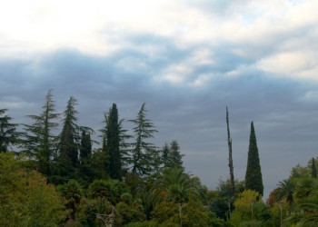 Гагра, Абхазия. Фото 4 – фотографии Абхазии