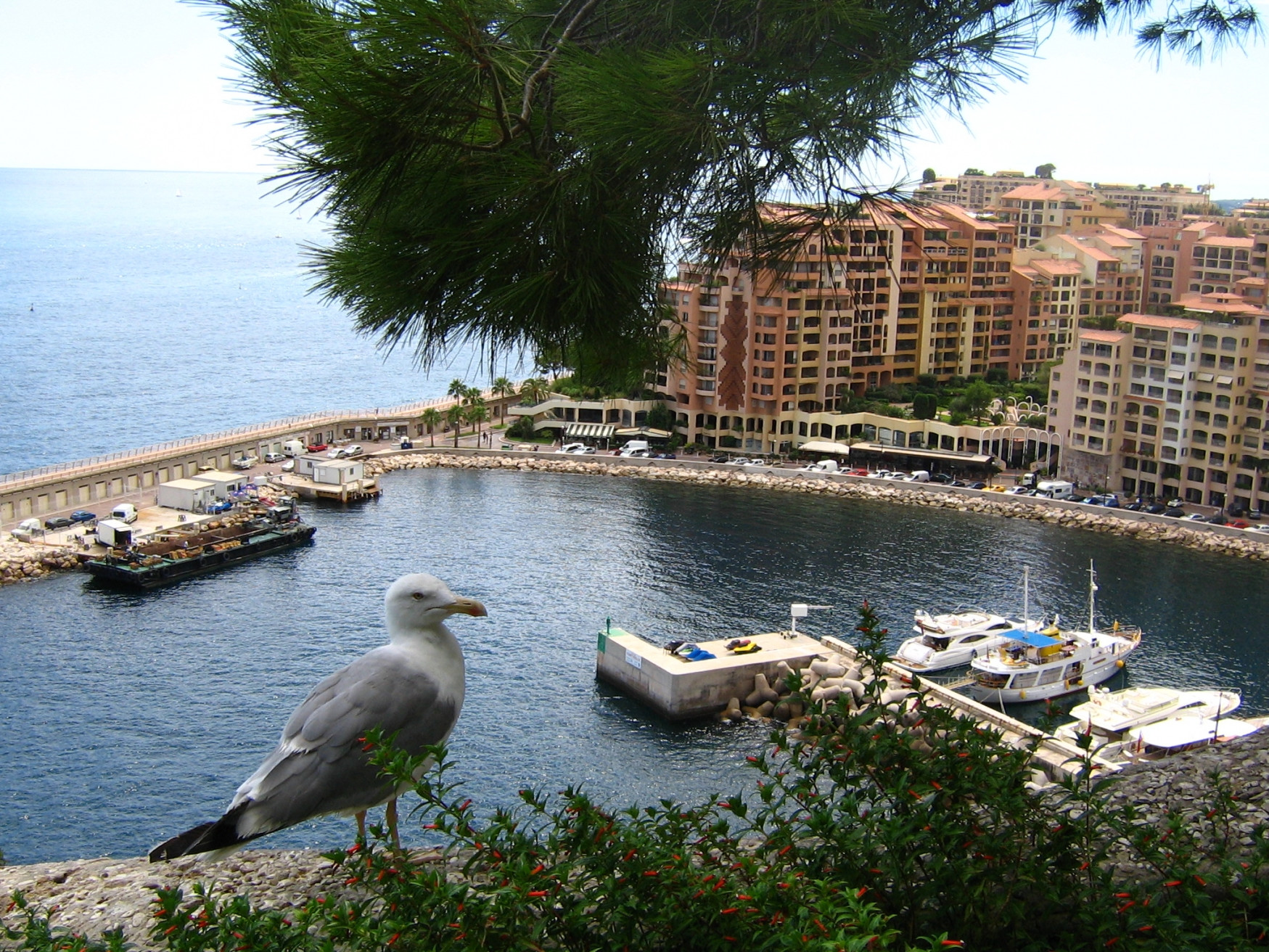 Фонвьей, Монако, фото № 10651 – фотографии Монако