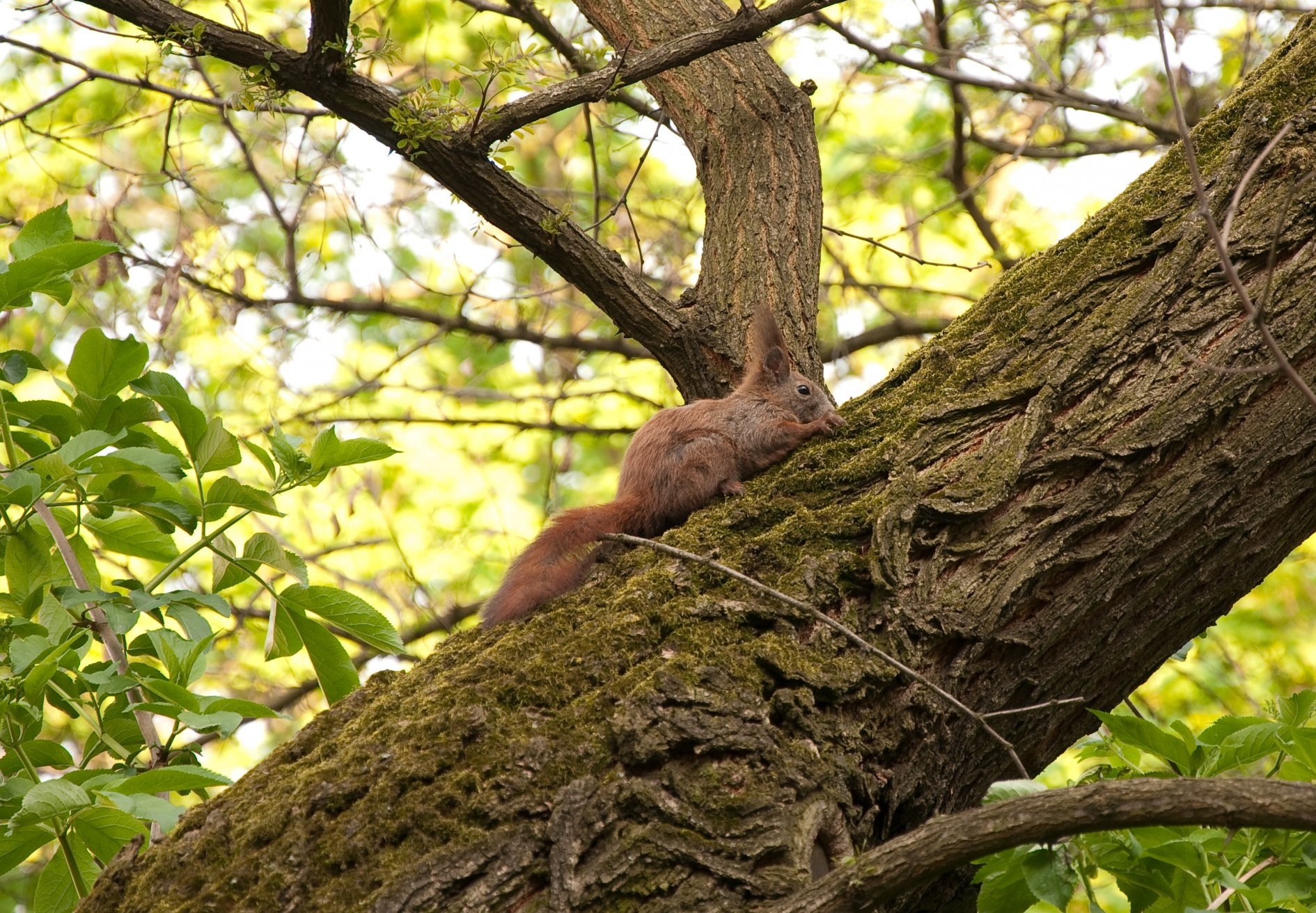 Чехия, фото № 3300 – фотографии Чехии