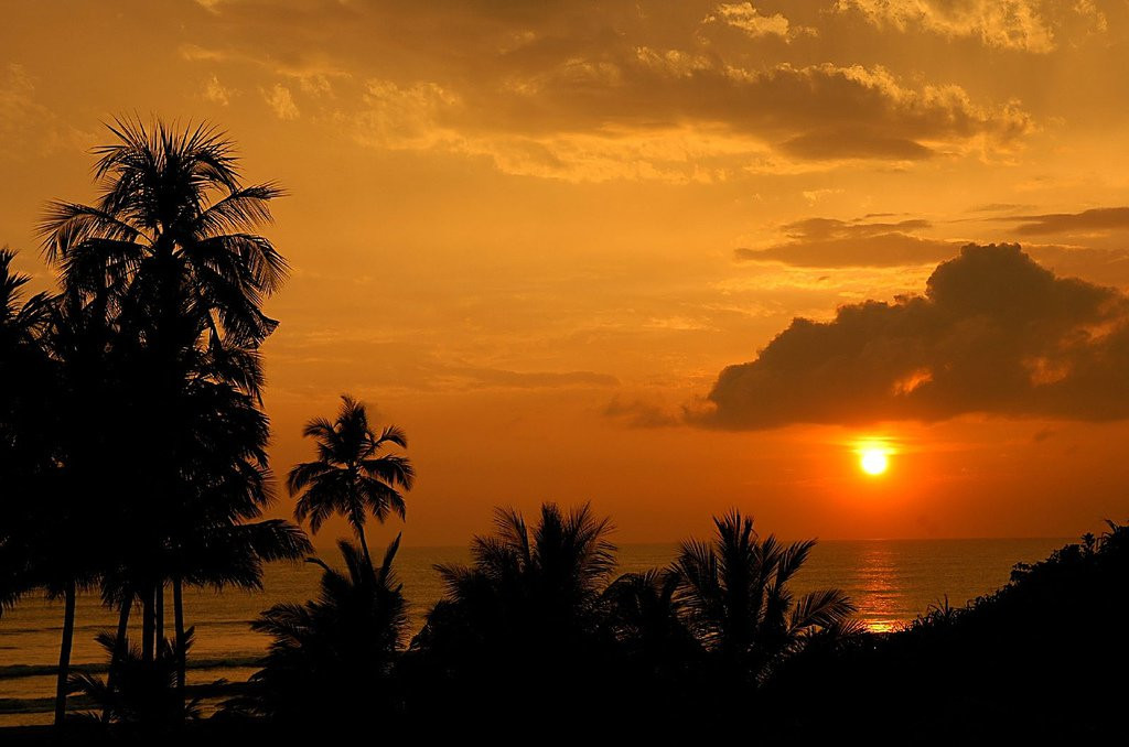 Ваддува, Шри-Ланка, фото № 50798 – фотографии Шри-Ланки