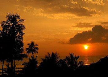 Ваддува, Шри-Ланка, фото № 50798 – фотографии Шри-Ланки