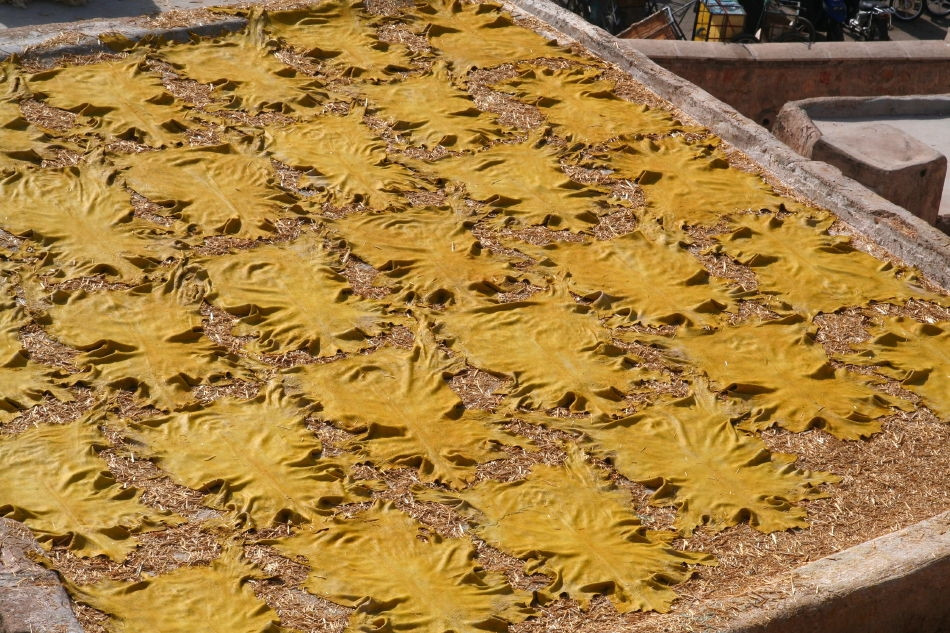 Фес, Марокко, фото № 8474 – фотографии Марокко