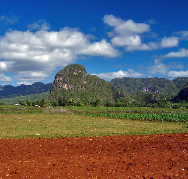 Поле в Пинар дель Рио провинция, Куба. Фото 3 – фотографии Кубы