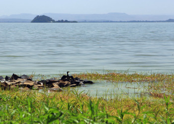 Озеро Тана, Эфиопия – фотографии Эфиопии