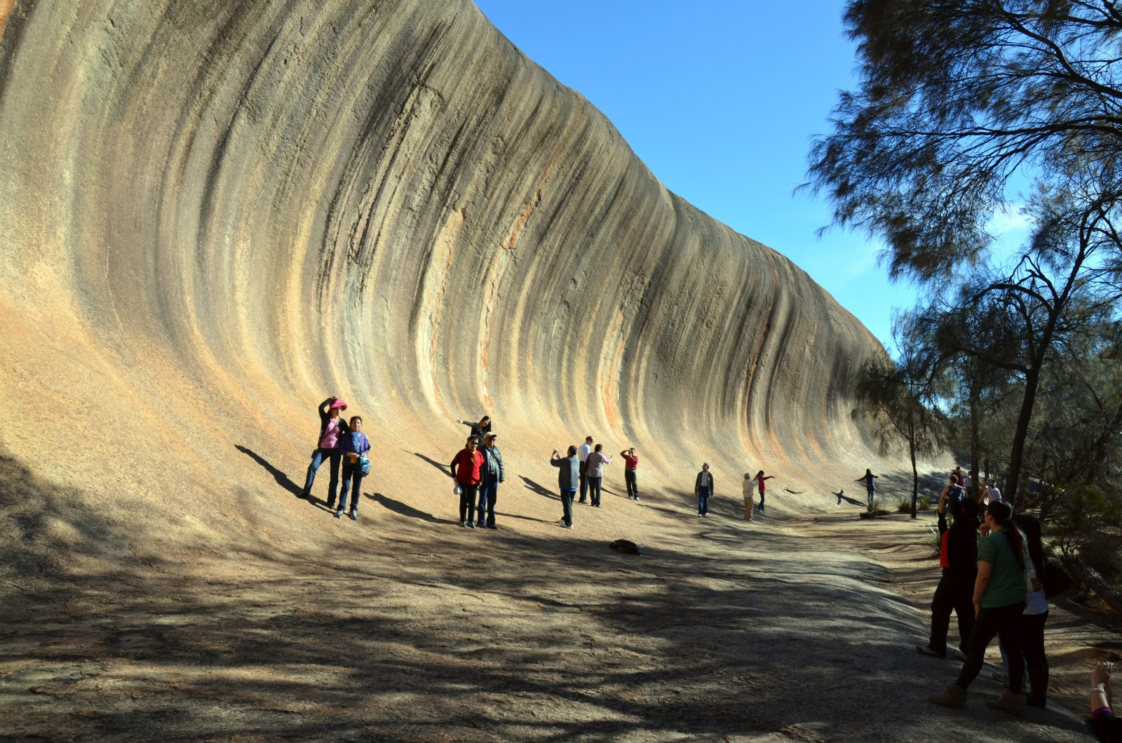 Каменная волна Wave Rock в Австралии. Фото 20 – фотографии Австралии