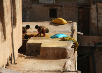 Фес, Марокко, фото № 8471 – фотографии Марокко