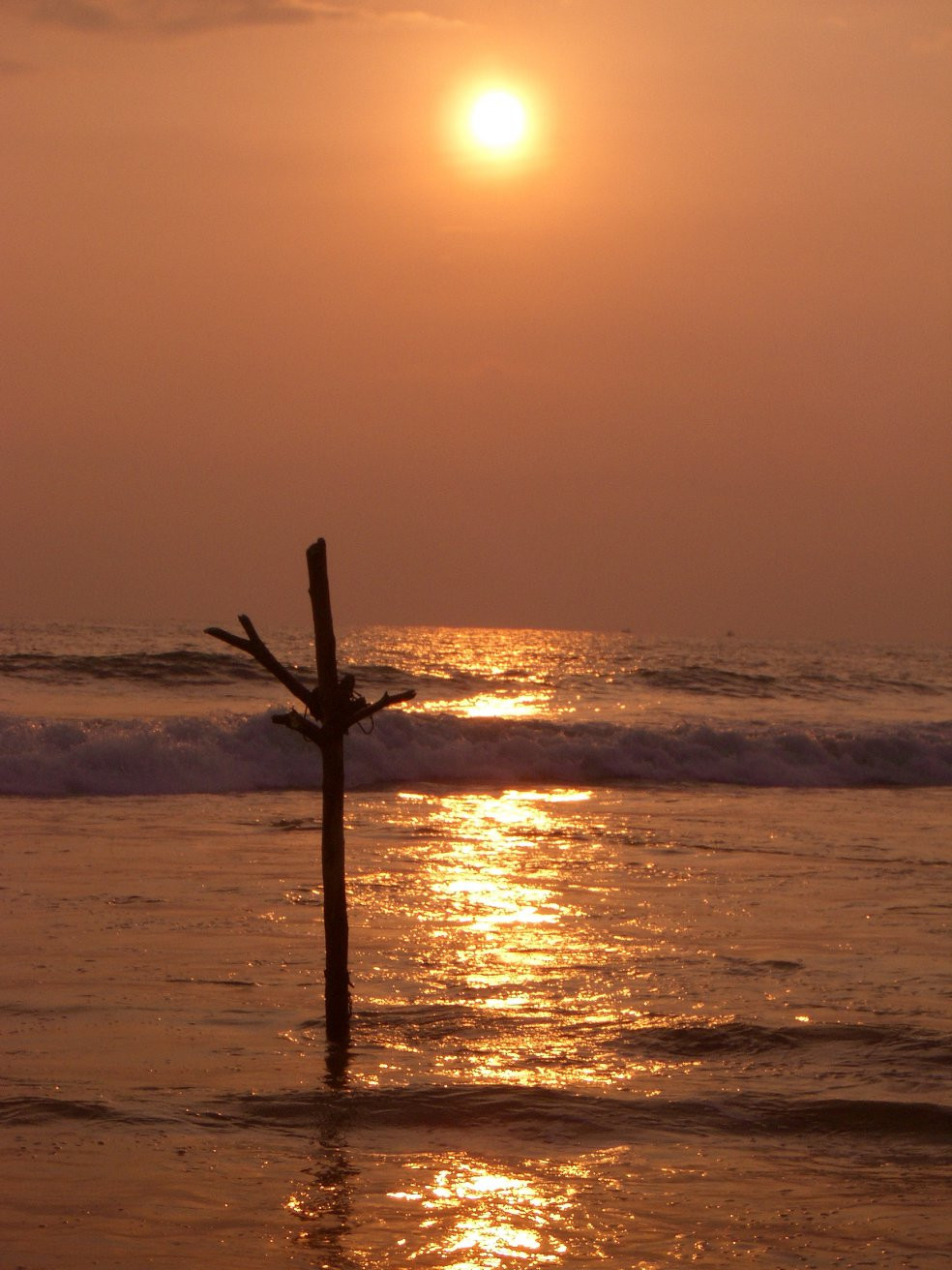 Хиккадува, Шри-Ланка, фото № 52541 – фотографии Шри-Ланки