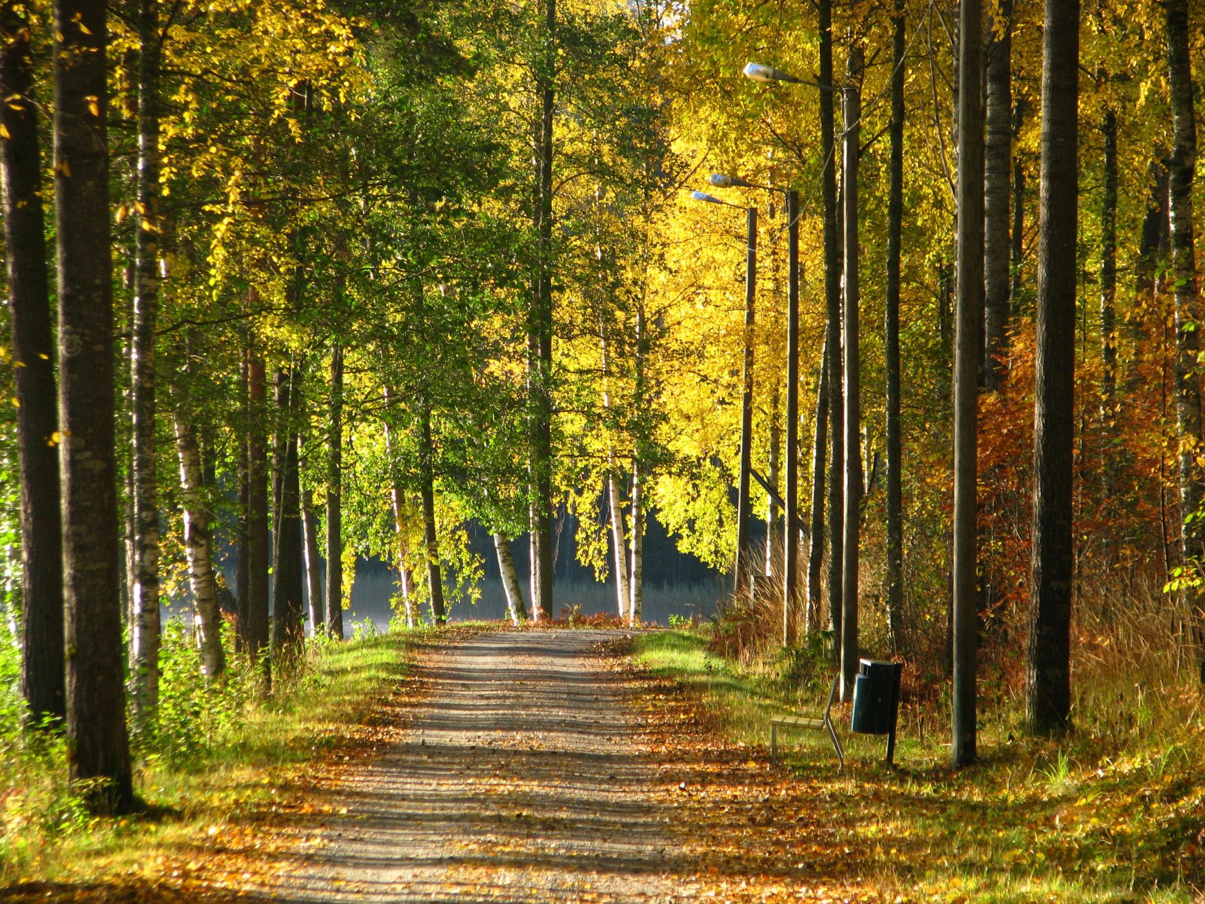 Миккели, Финляндия, фото № 74705 – фотографии Финляндии