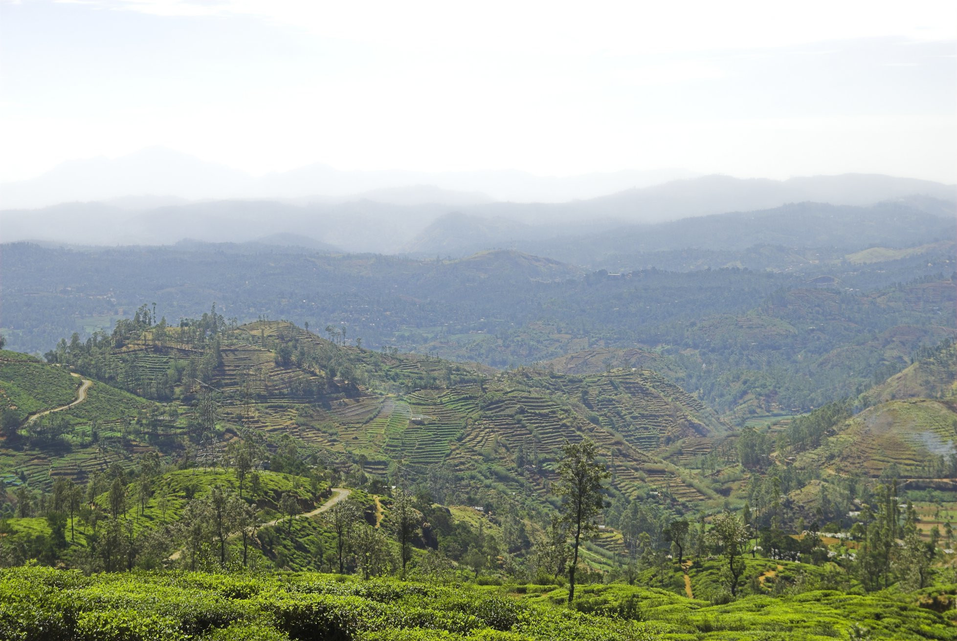 Нувара Элия, Шри-Ланка, фото № 52047 – фотографии Шри-Ланки