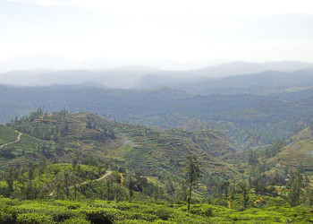 Нувара Элия, Шри-Ланка, фото № 52047 – фотографии Шри-Ланки