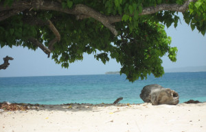 Пляж в Лайм Кей, Ямайка – фотографии Ямайки