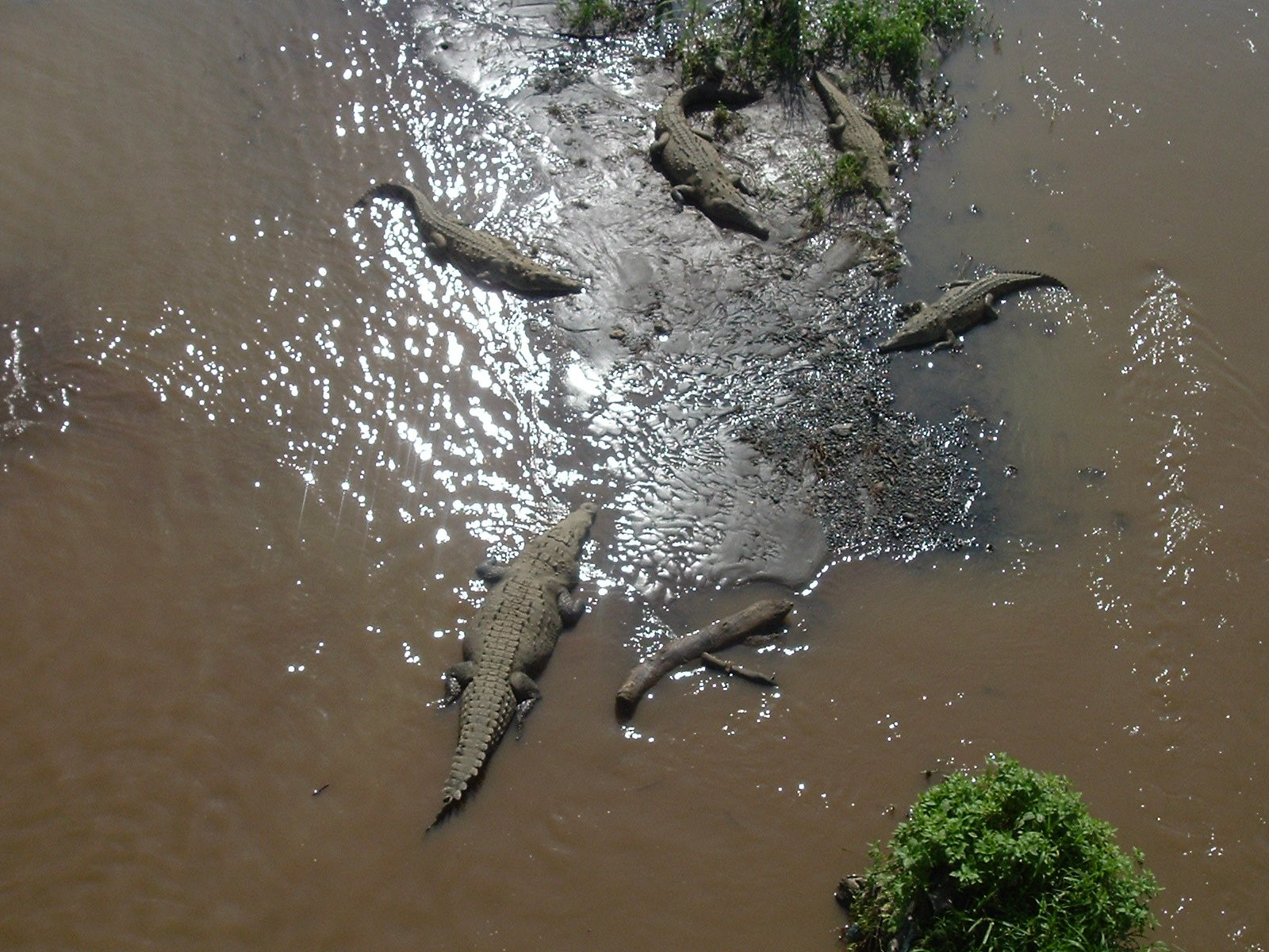 Коста-Рика, фото № 777 – фотографии Коста-Рики