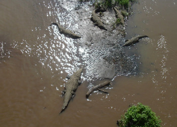 Коста-Рика, фото № 777 – фотографии Коста-Рики