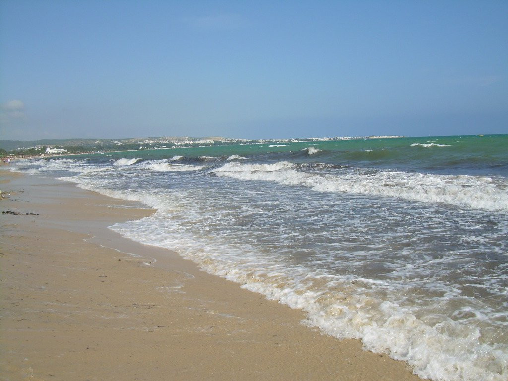 Пляж в Северном Тунисе. Фото 22 – фотографии Туниса