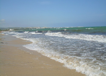 Пляж в Северном Тунисе. Фото 22 – фотографии Туниса