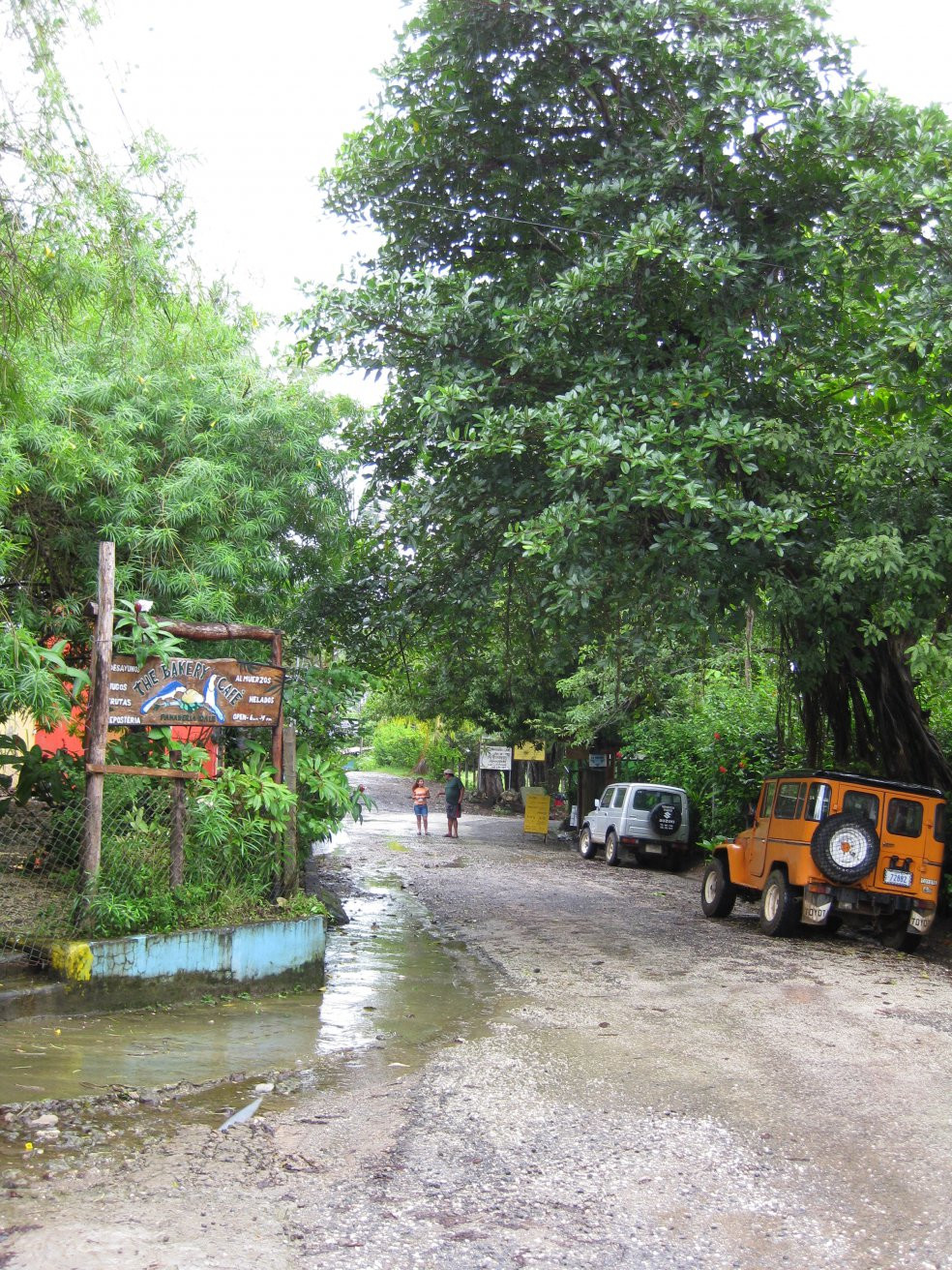 Монтезума, Пунтаренас провинция, Коста-Рика, фото № 40816 – фотографии Коста-Рики