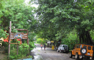 Монтезума, Пунтаренас провинция, Коста-Рика, фото № 40816 – фотографии Коста-Рики