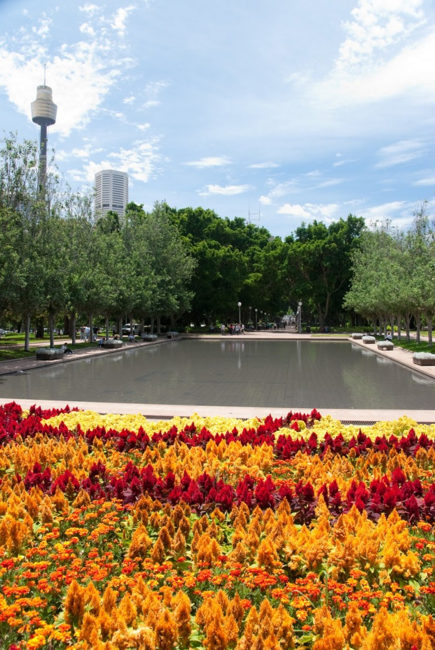 Сидней, Австралия, фото № 73994 – фотографии Австралии