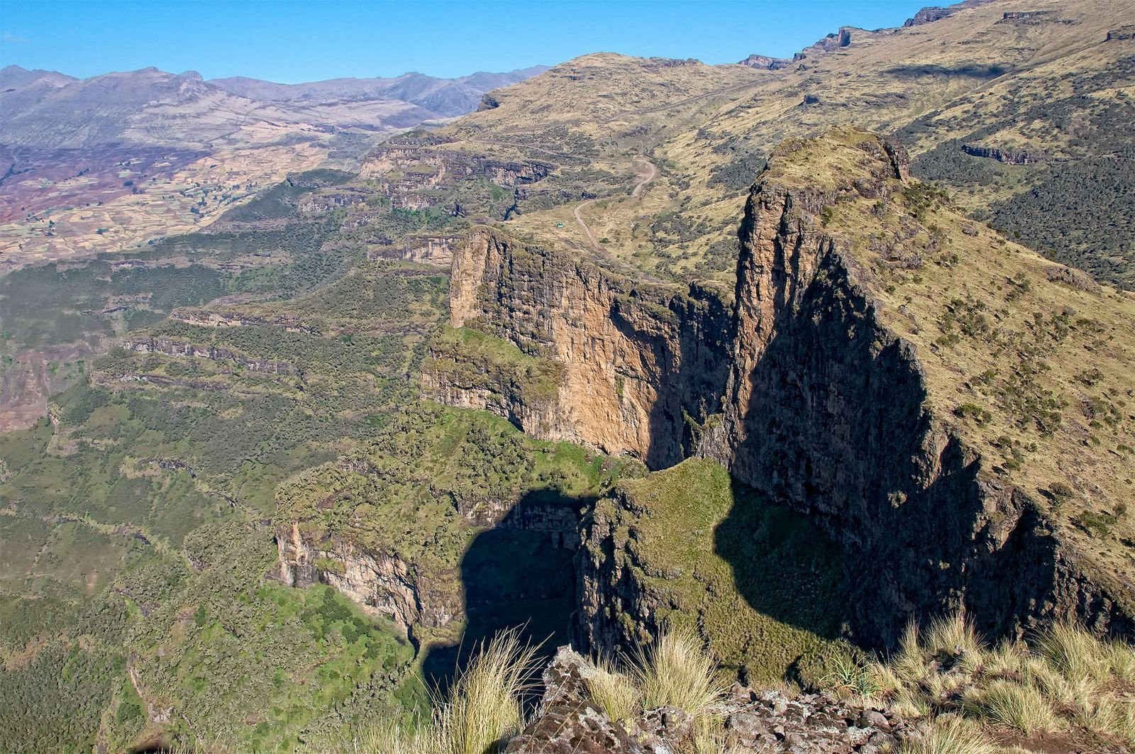 Эфиопское нагорье, Эфиопия. Фото 7 – фотографии Эфиопии