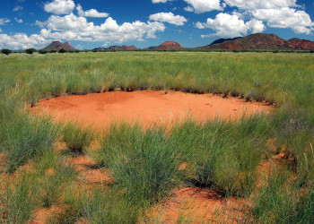 Загадочные круги на полях в Намибии. Фото 4 – фотографии Намибии