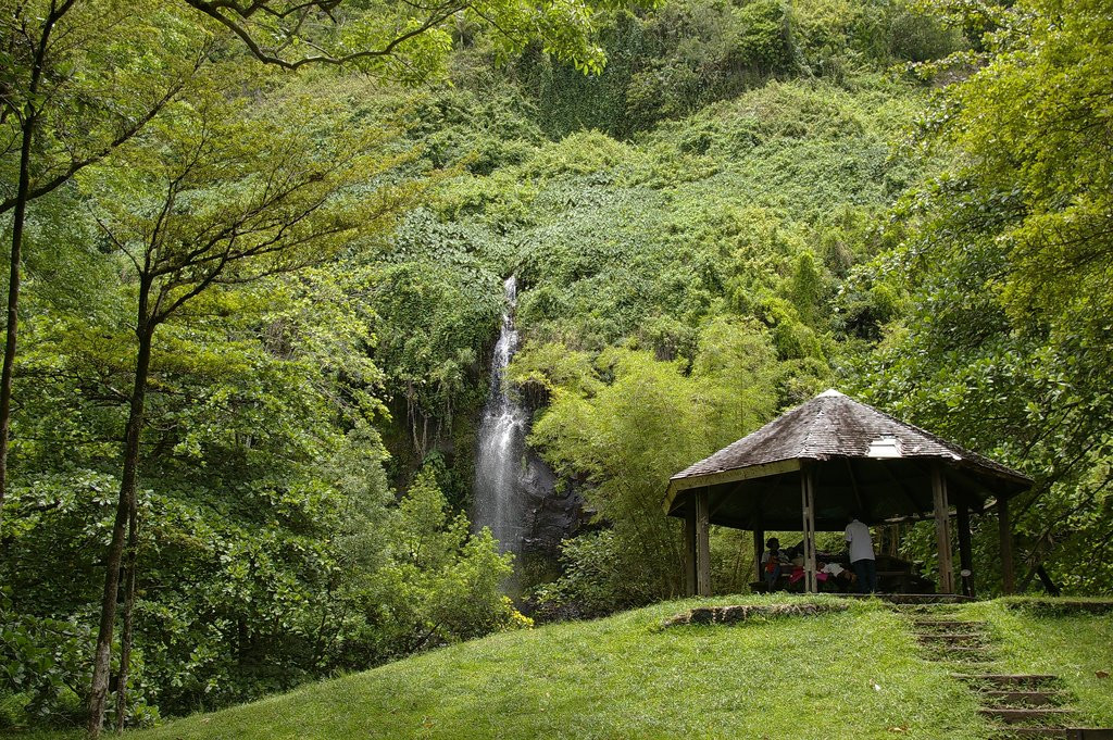 Водопад в районе Сен-Роз (Saint Rose) на острове Реюньон – фотографии Реюньона