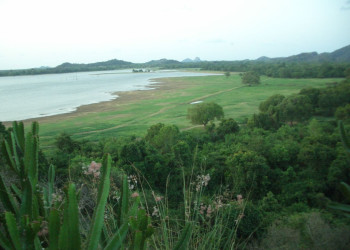 Кандалама, Шри-Ланка, фото № 51273 – фотографии Шри-Ланки