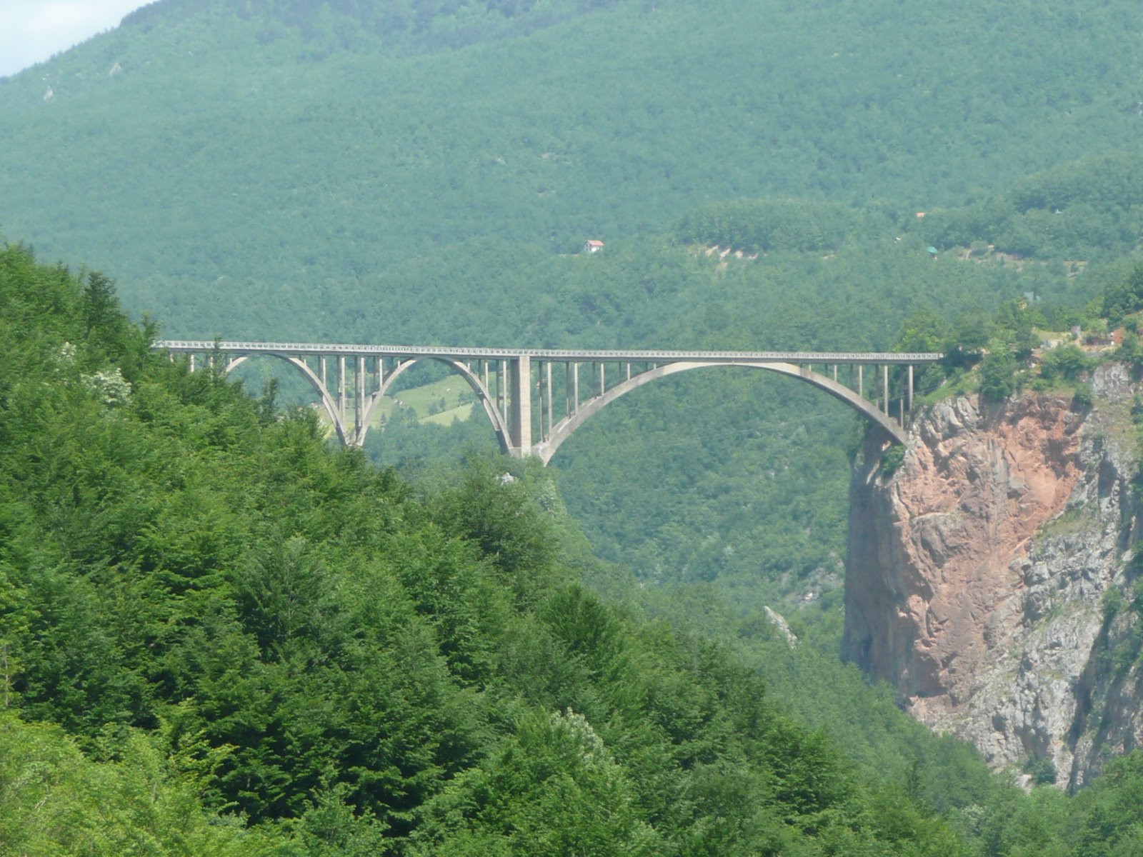 Тара Каньон – фотографии Черногории