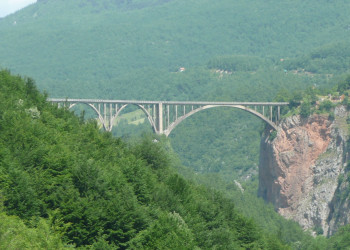 Тара Каньон – фотографии Черногории