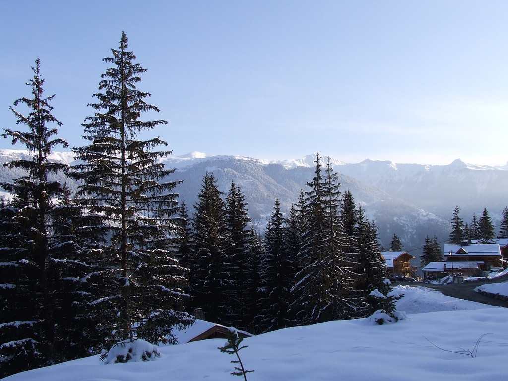 Деревья в Ла-Тания, Франция – фотографии Франции