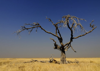 Namibia – фотографии Намибии