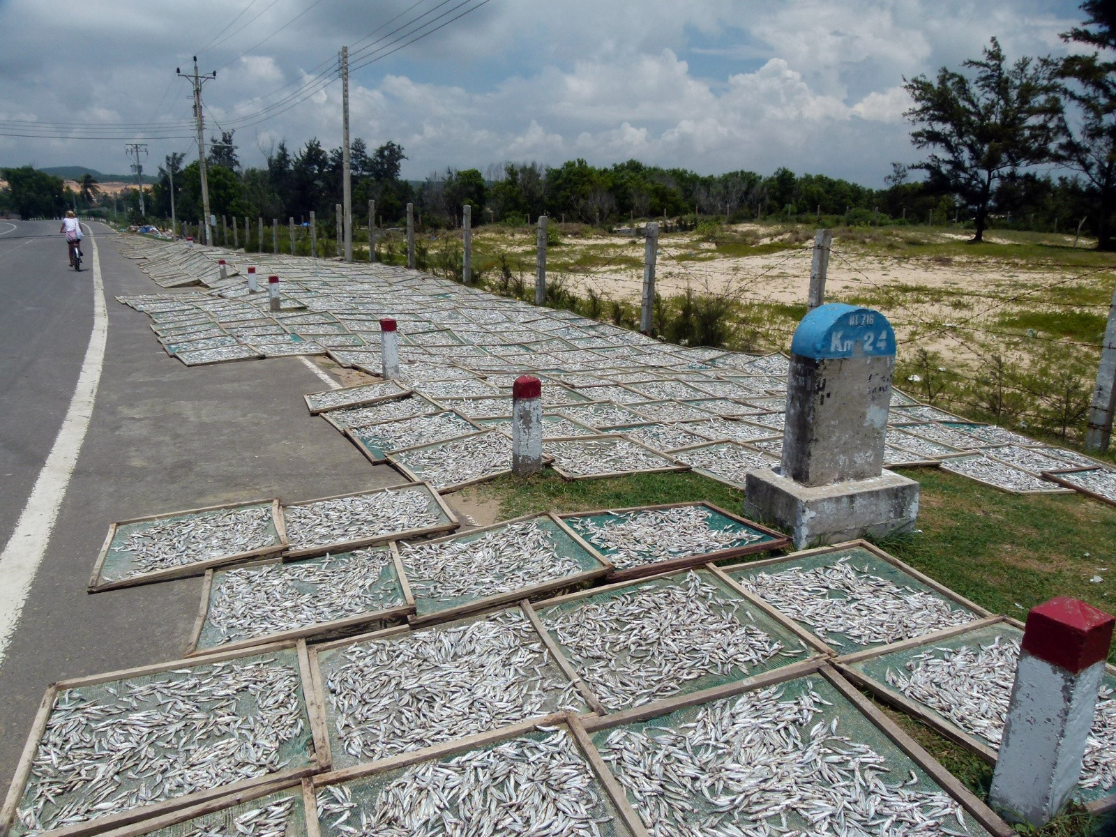 Торговля рыбкой к пиву. Прямо на дороге) – фотографии Вьетнама