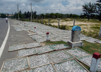 Торговля рыбкой к пиву. Прямо на дороге) – фотографии Вьетнама