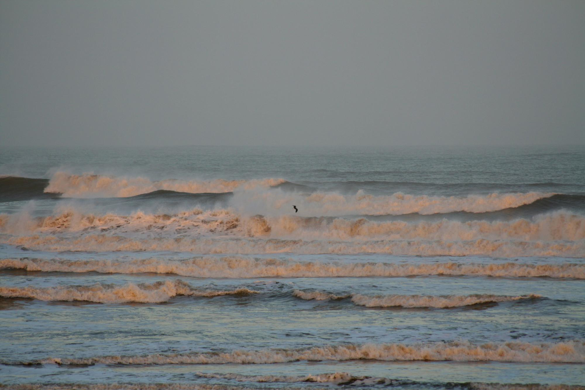 Марокко, фото № 202 – фотографии Марокко