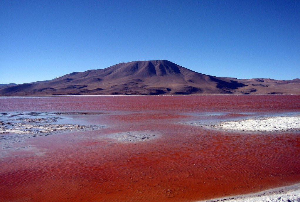 Лагуна Колорадо (Laguna Colorada) – фотографии Боливии