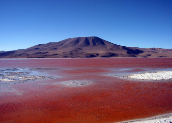 Лагуна Колорадо (Laguna Colorada) – фотографии Боливии