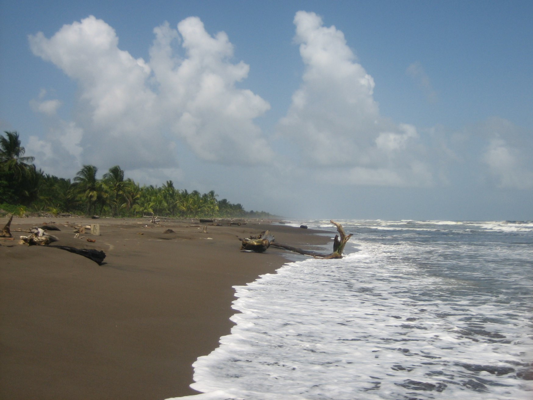 Тортугеро Национальный парк, Лимон провинция, Коста-Рика, фото № 40338 – фотографии Коста-Рики