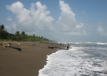 Тортугеро Национальный парк, Лимон провинция, Коста-Рика, фото № 40338 – фотографии Коста-Рики