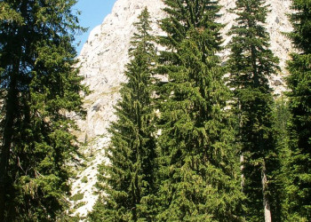 Дурмитор Национальный Парк, Черногория, фото № 53481 – фотографии Черногории