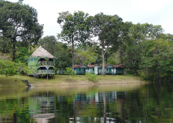 Амазонас штат, Бразилия, фото № 58807 – фотографии Бразилии